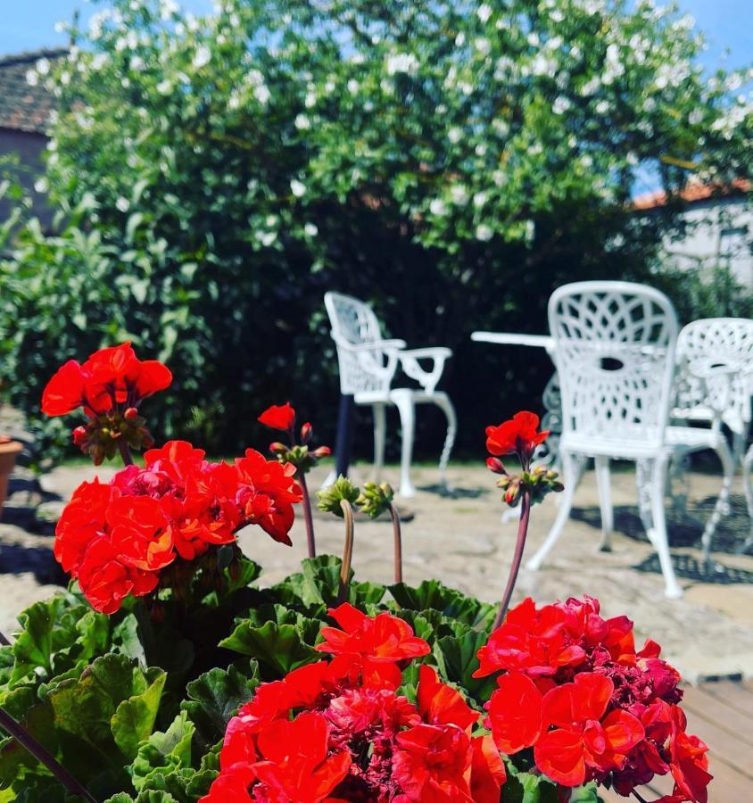 Holiday home Casa Do Beco Douro - Parambos