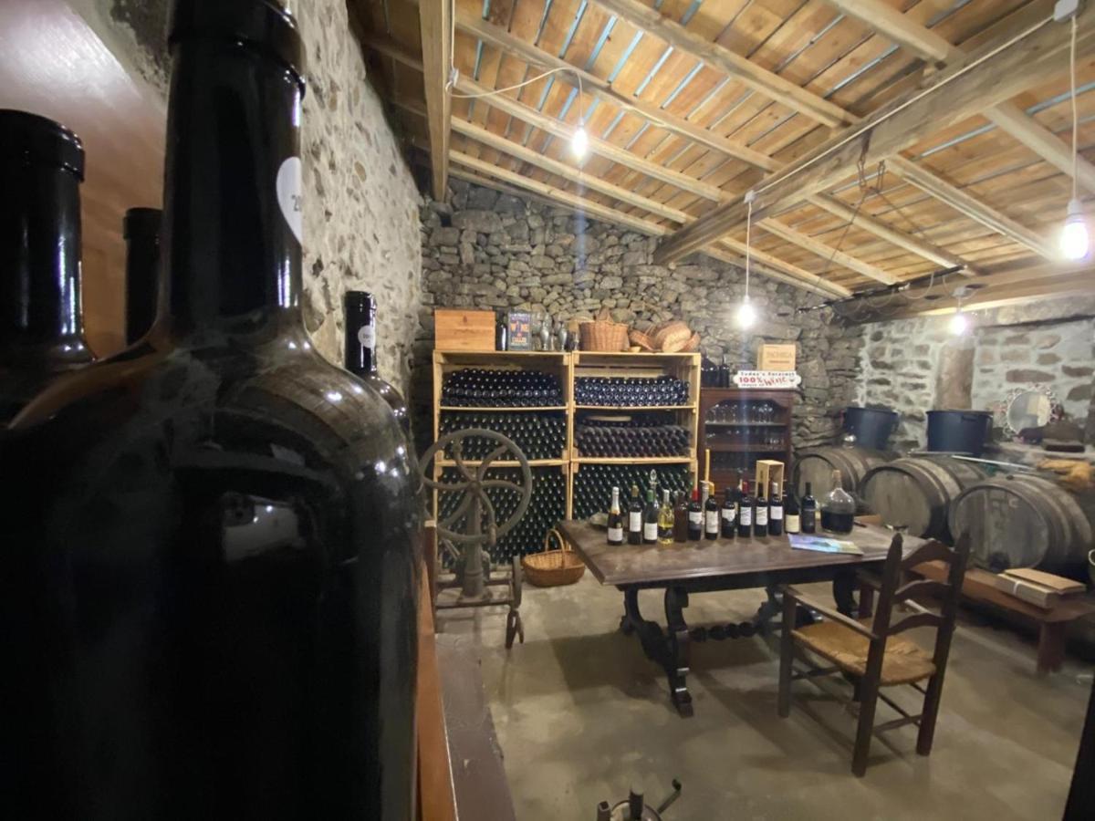 Casa Do Beco Douro - Holiday home