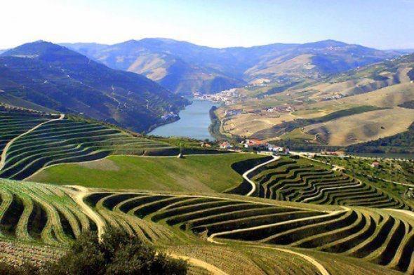 Holiday home Casa Do Beco Douro - *