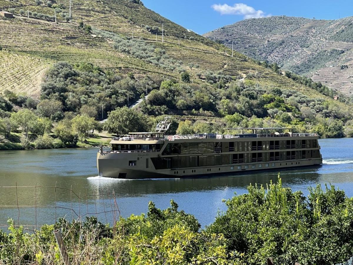 Holiday home Casa Do Beco Douro -