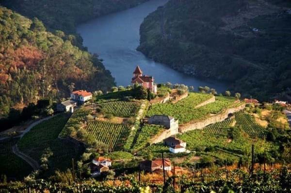 Casa Do Beco Douro - Holiday home