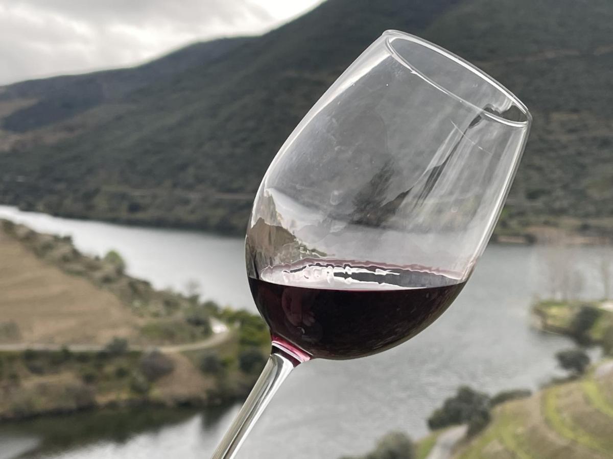 Casa Do Beco Douro - Holiday home
